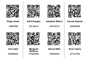 LaunchPad > Print and Manage QR Codes > image-2024-9-19_14-29-21.png